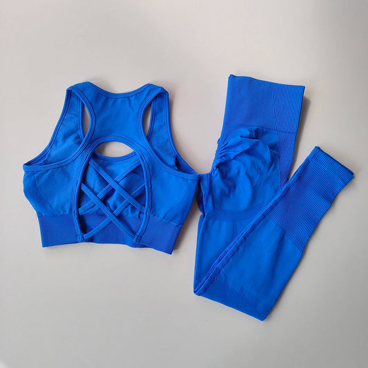 Women's tracksuit Fitness Suit Yoga Sets Sportswear Workout Sports Bra+High Waist Leggings Gym Clothing Seamless Sports Suits - Fields Of Fitness